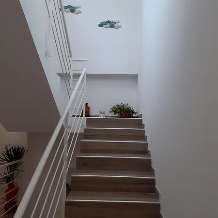 Stella Del Sud Makari Macari