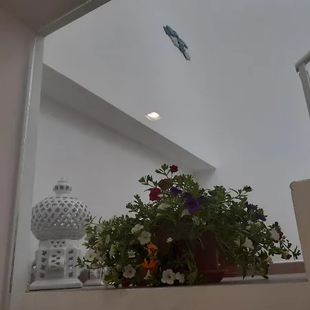 Stella Del Sud Makari